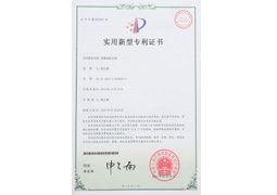 流量表機(jī)芯體發(fā)明專(zhuān)利證書(shū)